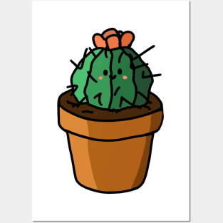 Just a cute little cactus Posters and Art